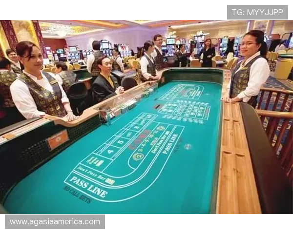 全面解析澳门百家乐的玩法流程及常见策略提升获胜几率